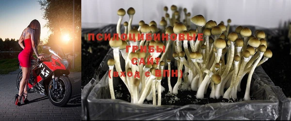 спайс Балабаново