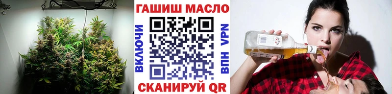 как найти закладки Ессентуки ТГК Wax